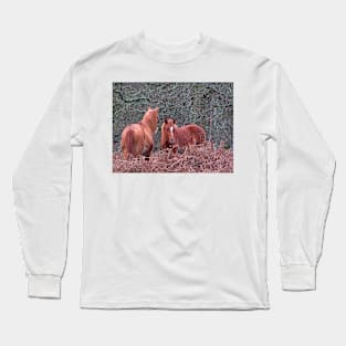 New Forest Ponies Long Sleeve T-Shirt